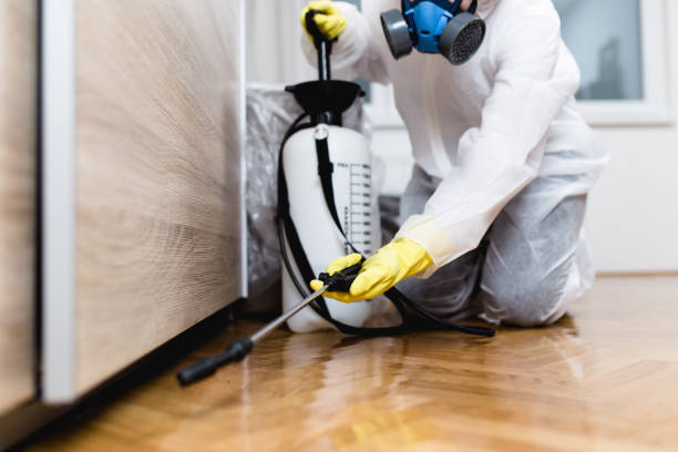 Best Cockroach Control Services  in West Lafayette, OH