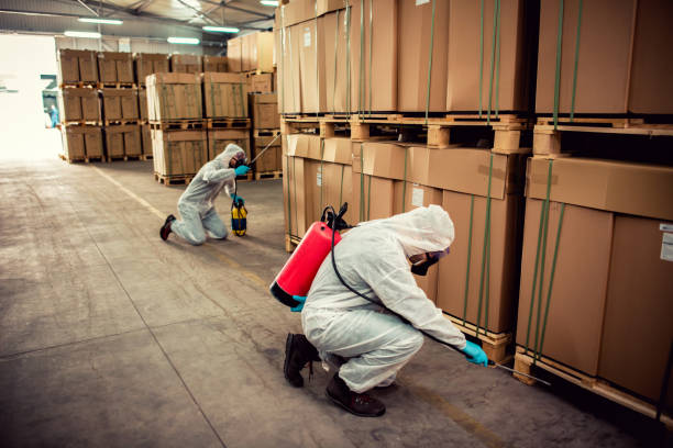 Best Affordable Pest Control Services  in West Lafayette, OH