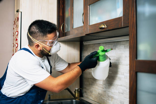 Best Pest Removal Services  in West Lafayette, OH