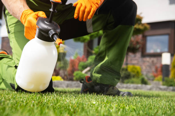 Best Termite Control Services  in West Lafayette, OH