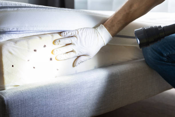 Reliable West Lafayette, OH Pest Control Solutions