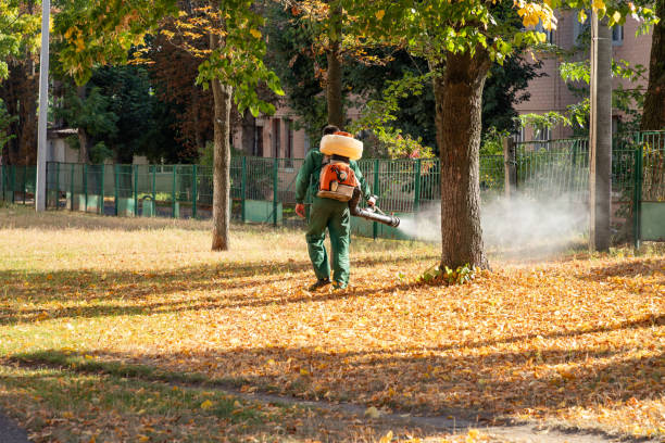 Best Spider Control Near Me  in West Lafayette, OH