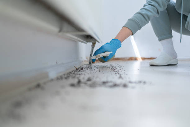 Wildlife Control Services in West Lafayette, OH