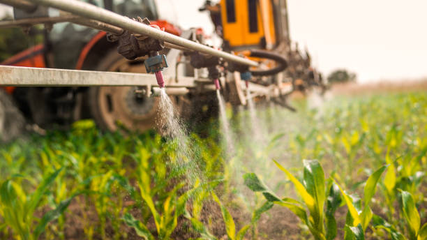 Pest Prevention Services in West Lafayette, OH