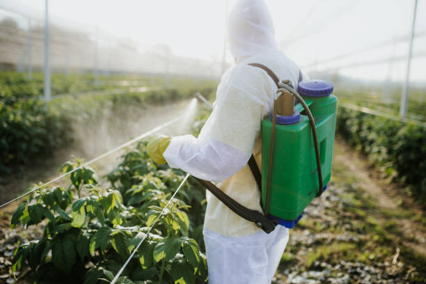 Best Pest Control Cost  in West Lafayette, OH